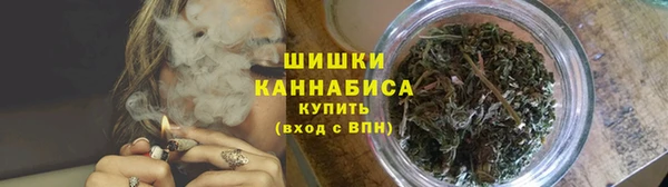 дмт Горняк