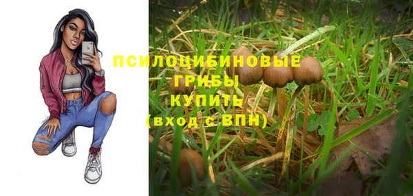 спайс Горно-Алтайск