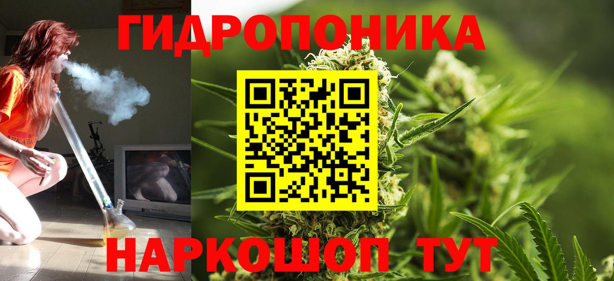 Шишки марихуана семена Вязьма